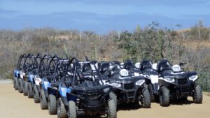 What Are The Differences Between A Buggy & An ATV