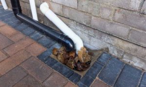Blocked Drains