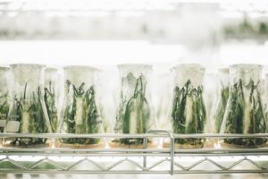 Science or Snake-Oil? Find Out The Truth Behind These 4 Common Marketing Claims