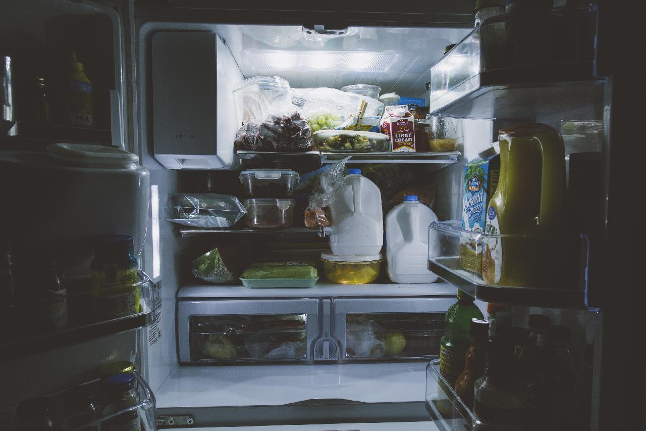 Need Fridge Repair