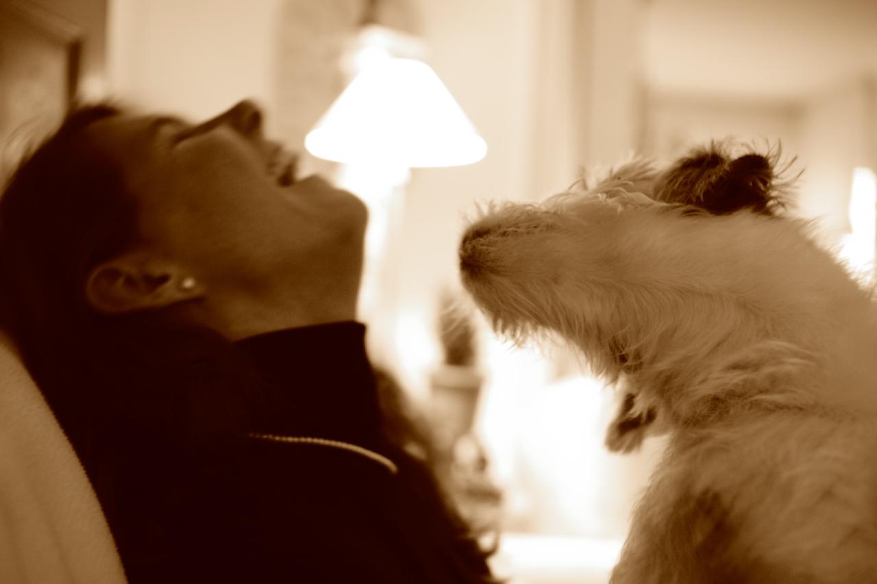 How To Boost Your Dog’s Mood