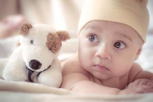 How Much Are the Most Expensive Collectible Beanie Babies Worth