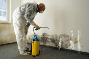 How to Get Rid of Household Hazardous Waste the Right Way