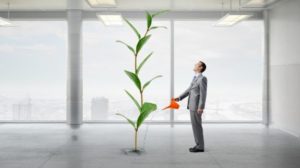 How To Ensure Your Business Doesn't Go Into Recession How to Cultivate Business Growth