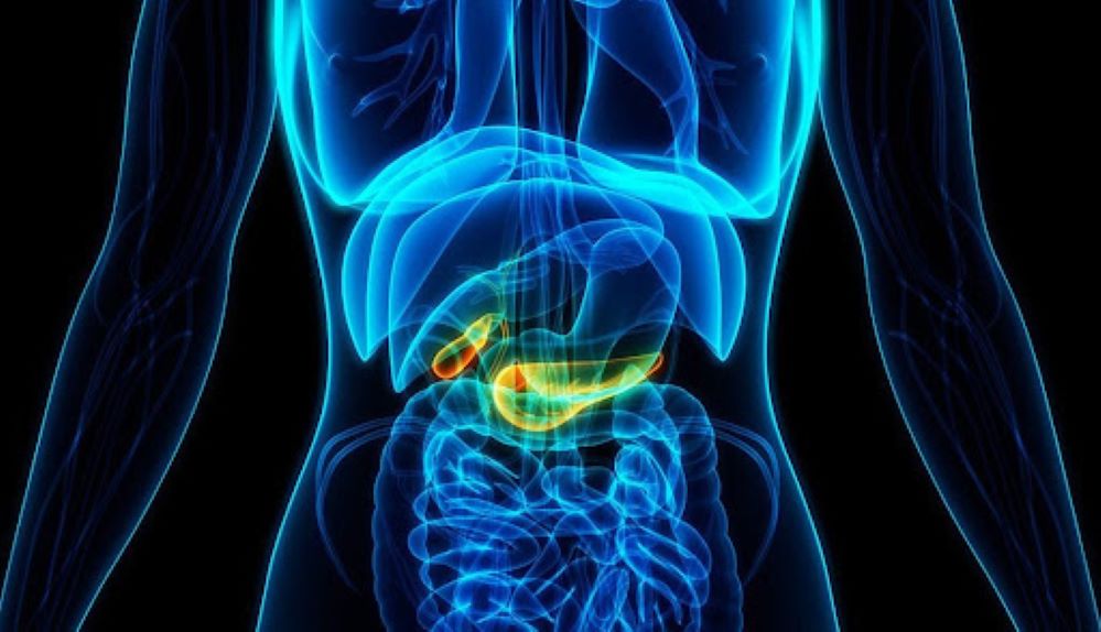Pancreatic cancer and its symptoms