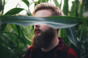Beard Oil Kit: Stop Your Beard From Looking Dry and Brittle