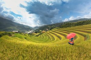 Agritourism: When Farming and Entertainment Meet
