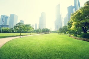 Designing the Building Driveways? What to Consider