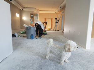 Leveraging Technology in Modern Home Construction