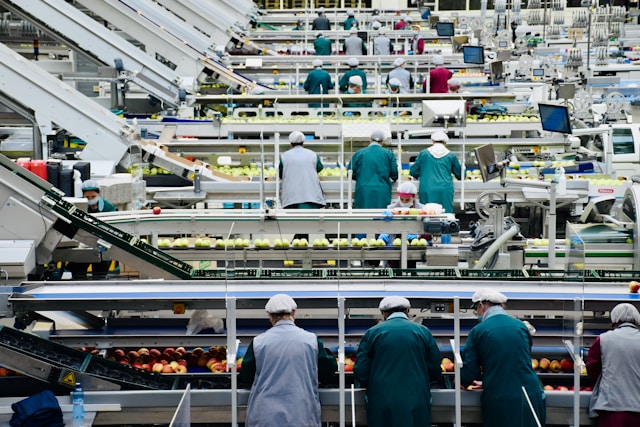The Cold the Knives the Careers: Workforce Development in Seafood Manufacturing